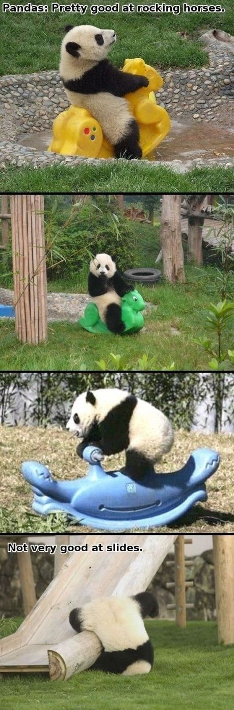 Silly pandas.