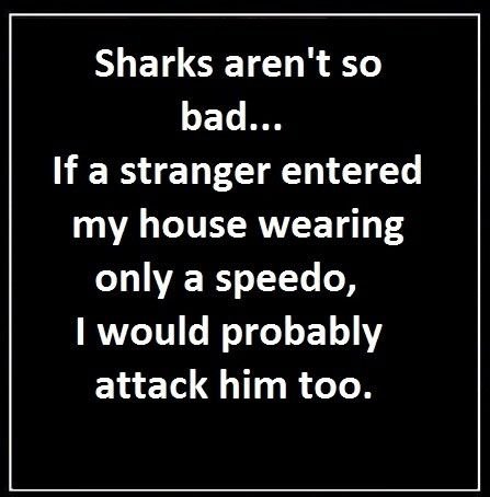 Sharks aren't so bad.