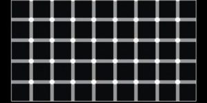 Go ahead, count the black dots.