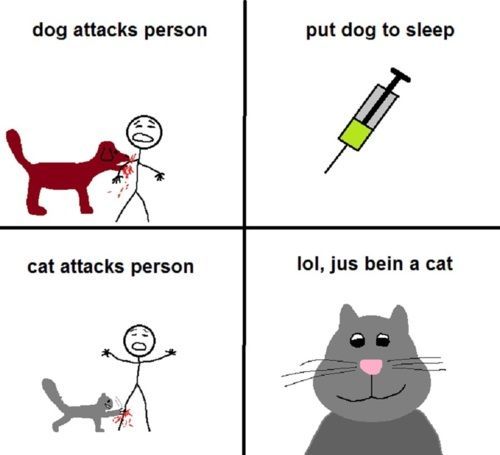 Dogs vs. cats.