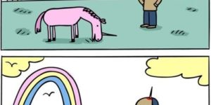 Unicorns are jerks.