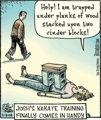 Josh's karate training finally comes in handy.