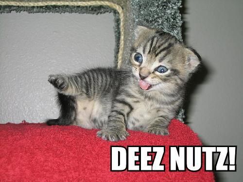 Deez nutz!