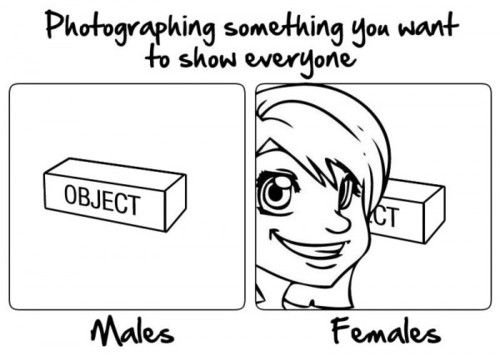 Males vs. females.