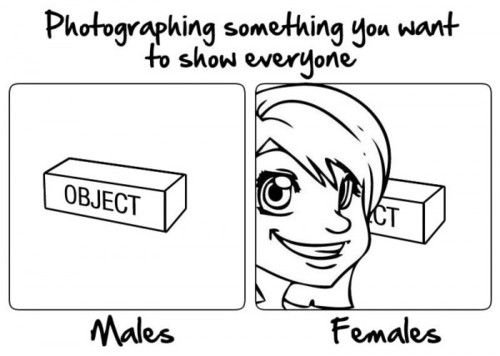 Males vs. females.