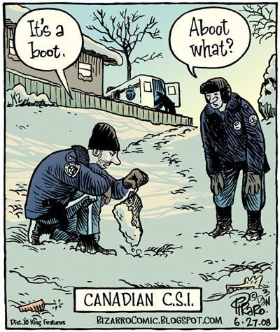 Canadian C.S.I.