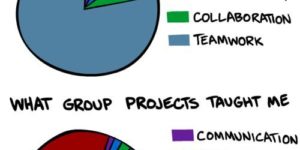 What group projects are suppose to teach you.