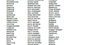 The Shakespearean insult kit.