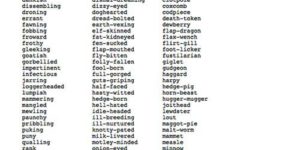 The Shakespearean insult kit.