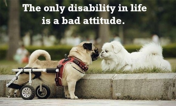 The only real disability in life.