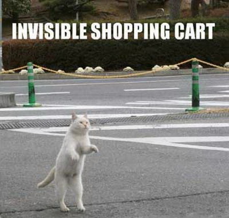 Invisible shopping cart.