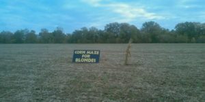 Corn maze for blondes.