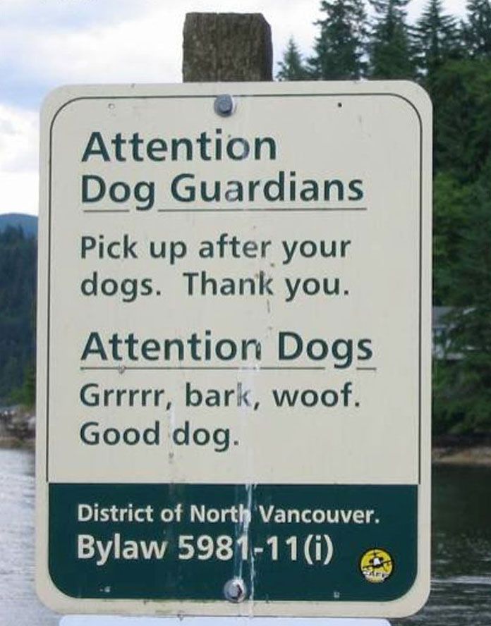 Attention dogs.