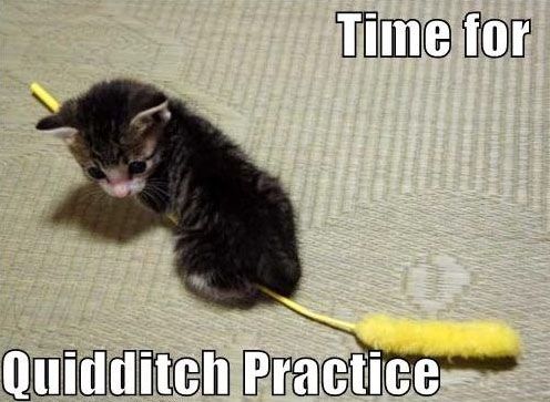 Time for Quidditch practice.