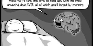 Thanks brain…