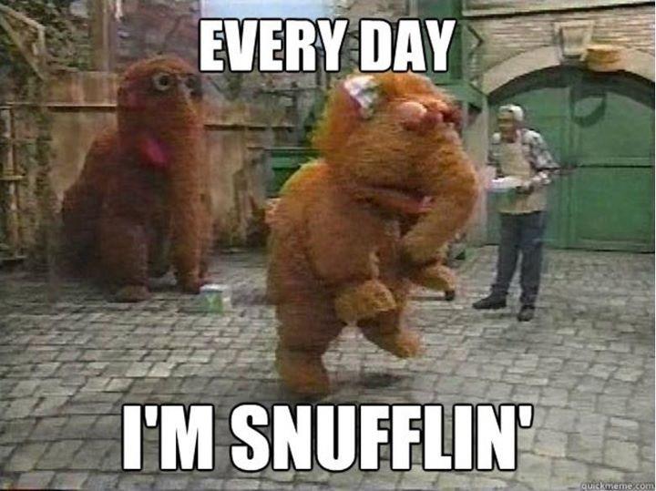 Every day I'm snufflin'.