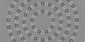 Just four circles.
