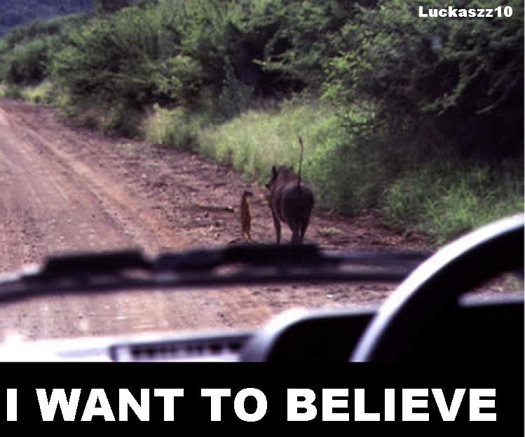 I want to believe...