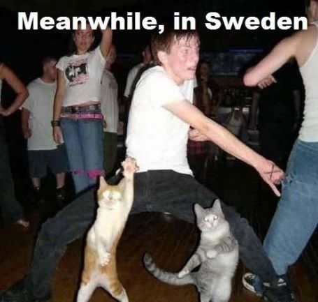 Meanwhile, in Sweden.