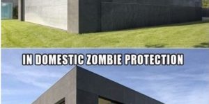 Zombie defense.