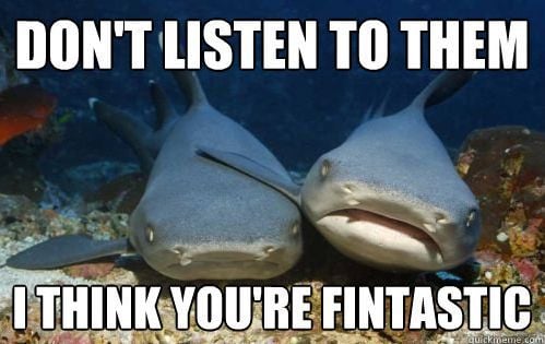 I think you're fintastic.