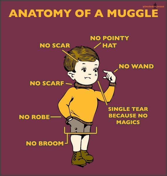Anatomy of a muggle.