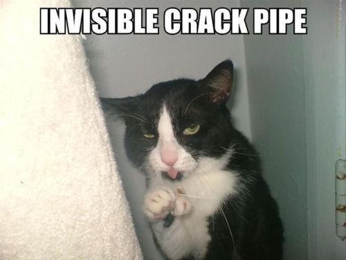 Invisible crack pipe. 