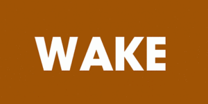 Wake work sleep repeat.