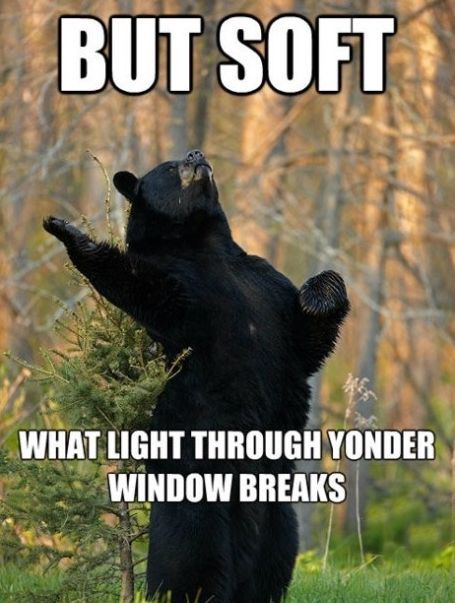 Poetry bear is a poet.