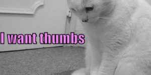 Thumbs. I want thumbs for my birthday…