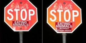 Stop eating animals.