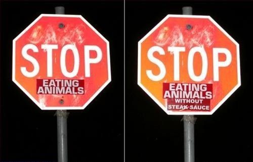 Stop eating animals.