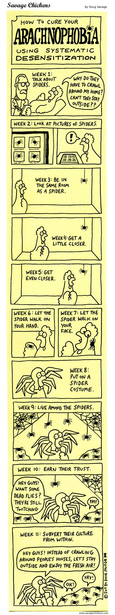 How to cure your arachnophobia.