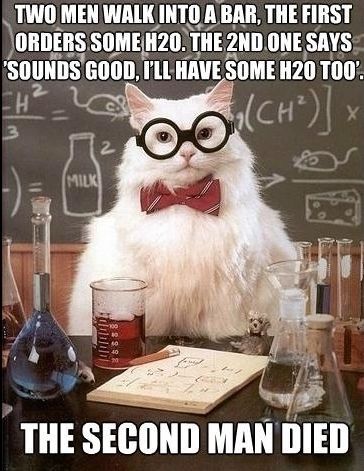 Chemistry cat.