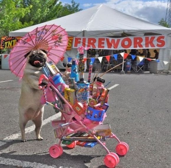 I got you some fireworks...