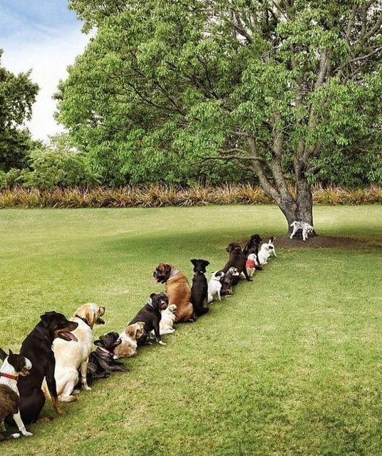 Problems of deforestation.