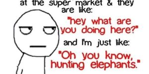 Hunting elephants.