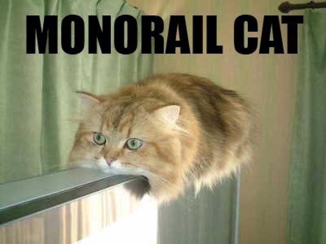 Monorail cat.