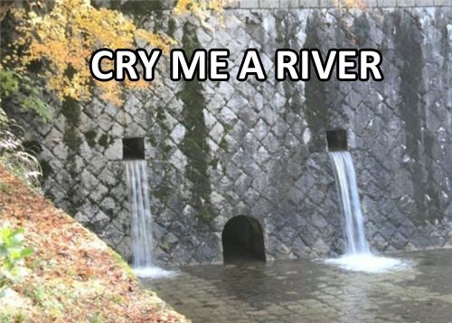 Cry me a river.