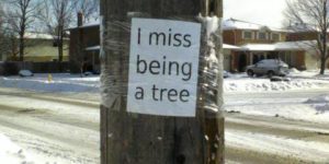I miss being a tree.
