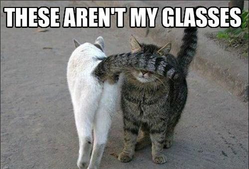 These aren't my glasses.