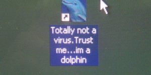 Trust me… I’m a dolphin.