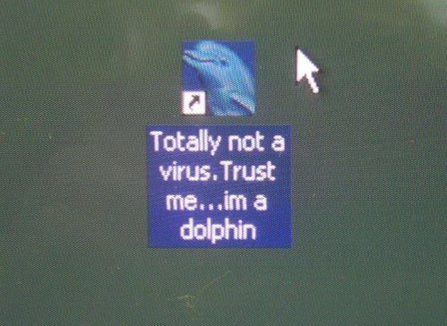 Trust me... I'm a dolphin.