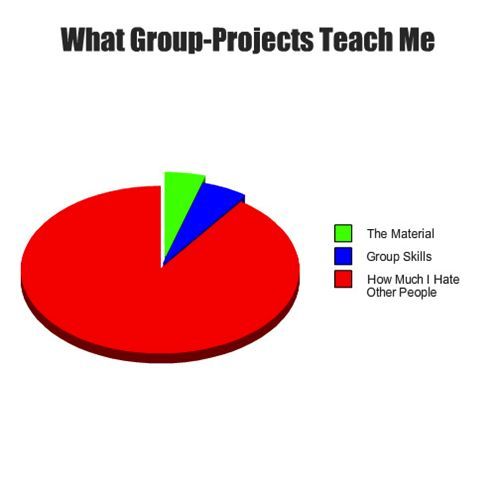What group projects teach me.