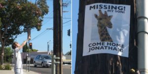 Missing+giraffe.