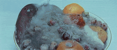 Breathing fruit.