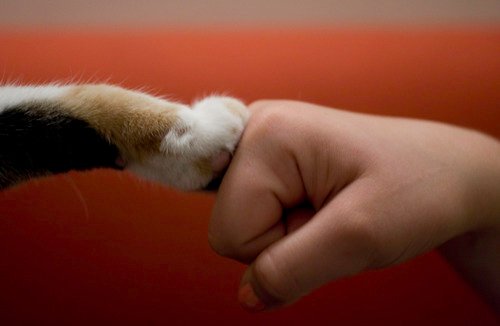 Fist bump.