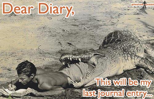 Dear diary...
