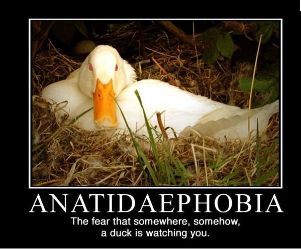 Anatidaephobia.