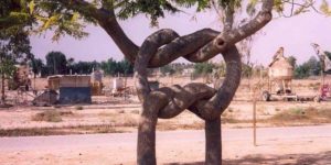 Tree knot.